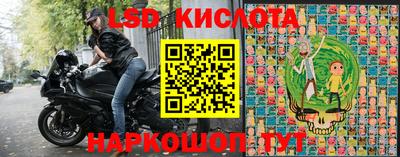 гидра Будённовск