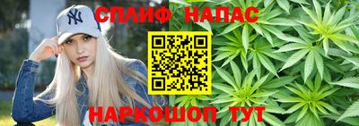 гидра Будённовск
