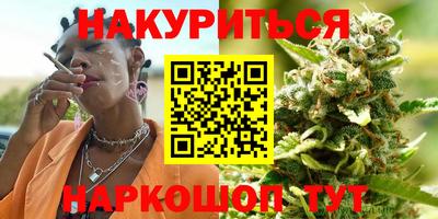 гидра Будённовск