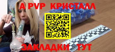 гидра Будённовск