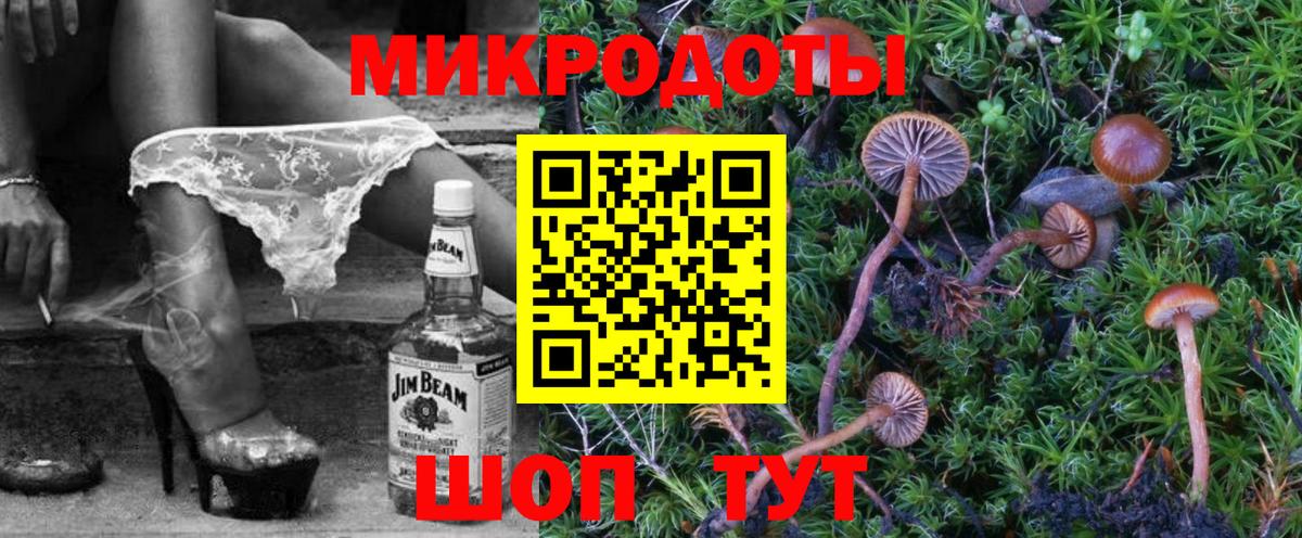 Галлюциногенные грибы Cubensis Саратов